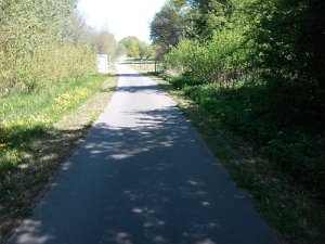 boltenhagen 2011 022